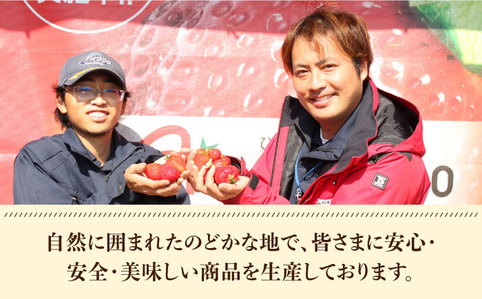 【1月中旬以降順次発送】築上町産 あまおう  1箱 15粒《築上町》【エースいちご株式会社】 大粒 あまおう 苺 いちご 年内発送 ギフト 贈答 [ABAG004]