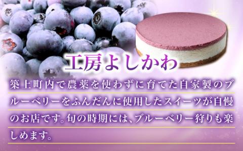 【築上町産ブルーベリー使用】 ブルーベリー ヨーグルト ムース ケーキ《築上町》【(有)工房よしかわ】 国産 ブルーベリー [ABAK002]