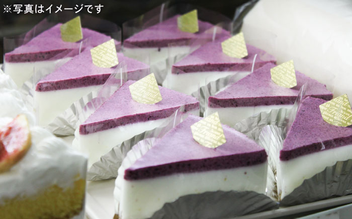 【全3回定期便】【築上町産ブルーベリー使用】 ブルーベリー ヨーグルト ムース ケーキ《築上町》【(有)工房よしかわ】 国産 ブルーベリー [ABAK004]