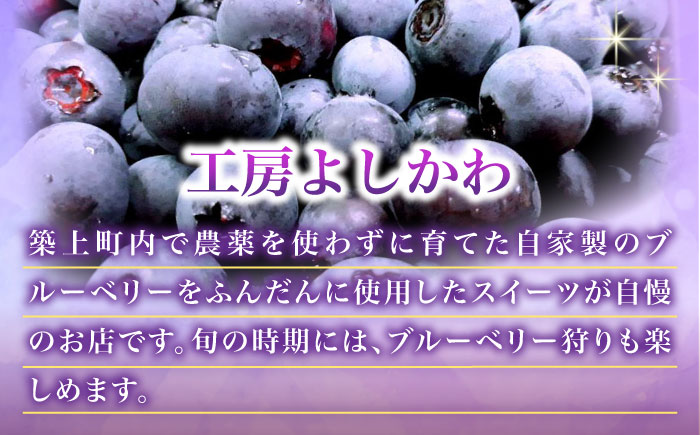 ふわふわのシフォンケーキ2種セット(プレーン、紅茶)《築上町》【(有)工房よしかわ】 [ABAK006]