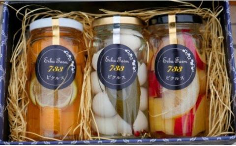 【農家のこだわり野菜使用】おまかせ ピクルス 3本《築上町》【ERBA FARM733】 [ABAP001]