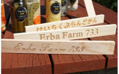 【農家こだわりの 野菜 使用】 ピクルス + 京築ヒノキ イーゼル セット《築上町》【ERBA FARM733】 [ABAP005]