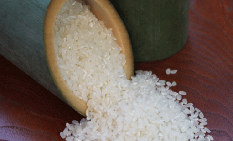 【先行予約】レンゲ 栽培米 夢つくし 10kg 【2025年10月以降順次発送】《築上町》【久楽農園】 [ABAT002] 精米 お米 こめ コメ ご飯