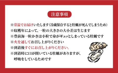 【先行予約:令和5年12月以降発送】ブランド牡蠣 「 豊前海一粒かき (しいだ小粒がき)」 中サイズ 3kg《築上町》【築上町蓄養殖部会】 [ABAY004]