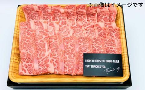 【和牛の旨味を堪能！】博多和牛 焼肉用 500g《築上町》【株式会社MEAT PLUS】 [ABBP012]
