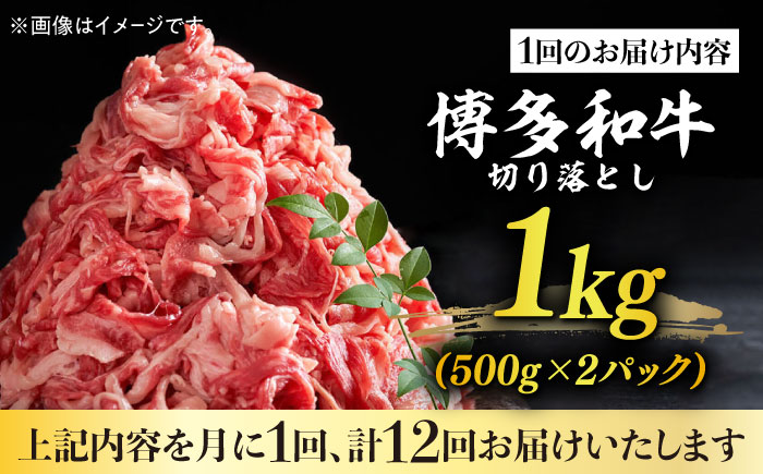 【全12回定期便】【たっぷり大容量！】博多和牛 切り落とし 1000g(500ｇ×2Ｐ）《築上町》【株式会社MEAT PLUS】 [ABBP029]