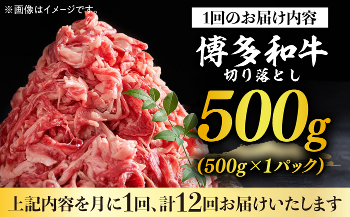 【全12回定期便】【和牛の旨味を堪能！】博多和牛切り落とし500g《築上町》【株式会社MEAT PLUS】 [ABBP044]