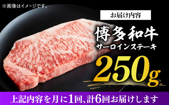 【全6回定期便】【厳選部位使用！】博多和牛サーロインステーキ250g×1枚《築上町》【株式会社MEAT PLUS】 [ABBP046]