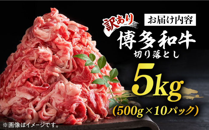 【訳あり】博多和牛 切り落とし 5kg(500g×10p）《築上町》【株式会社MEAT PLUS】 [ABBP066]
