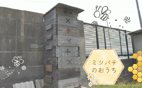 【福岡県築上町産】上村さん家の はちみつ 「築上町の 和蜜 」1kg《築上町》【上村 忍】 [ABBX003]
