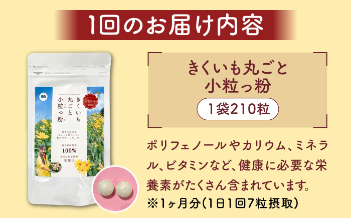 【全6回定期便】きくいも 丸ごと小粒っ粉 1袋 210粒《築上町》【合同会社豊築マルシェモンステラ】 菊芋 サプリメント サプリ [ABBZ011]