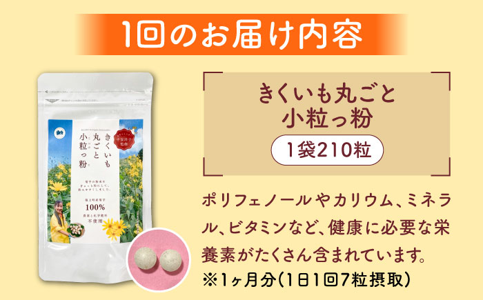 【全12回定期便】きくいも 丸ごと小粒っ粉 1袋 210粒 《築上町》【合同会社豊築マルシェモンステラ】 菊芋 サプリメント サプリ [ABBZ012]