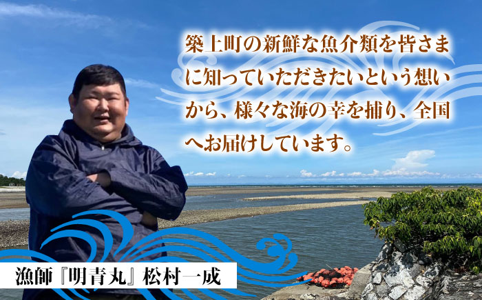 【30セット限定！予約受付】豊前海産 タイワンガザミ 1kg (4～7杯前後) オス メス セット 《築上町》【明青丸】 ワタリガニ 渡り蟹 蟹 カニ [ABCB002]