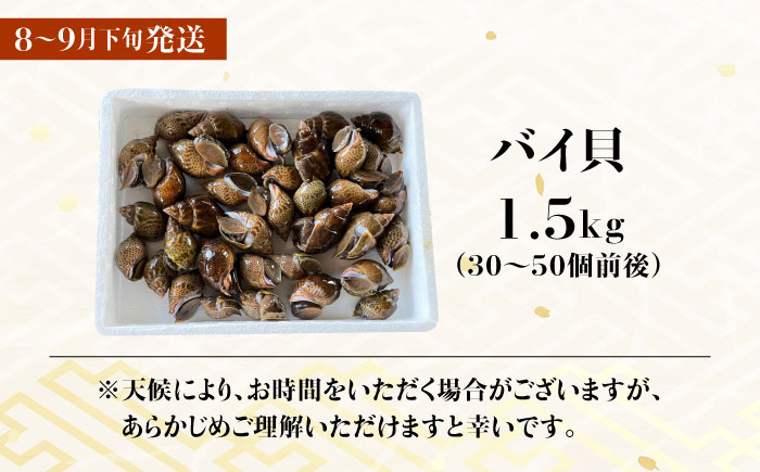 【30セット限定！予約受付】豊前海産 バイ貝 1.5kg (30?50個前後) 《築上町》【明青丸】 バイガイ 貝 カイ [ABCB004]
