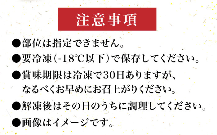 【全12回定期便】【化粧箱入】博多和牛A5～A4 切り落とし 500g《築上町》【株式会社マル五】 [ABCJ113]