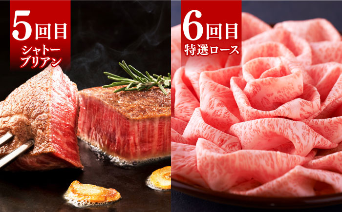 【全6回定期便】博多和牛 贅沢 食べ比べ 2人前( ステーキ すき焼き しゃぶしゃぶ ハンバーグ ) 《築上町》【久田精肉店】 肉 和牛 牛 精肉 [ABCL154]