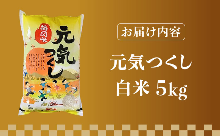 【先行予約】【令和7年産】福岡県産ブランド米「元気つくし」白米 5kg【2025年11月以降順次発送】《築上町》【株式会社ゼロプラス】 [ABDD001] お米 白ご飯 元気つくし ブランド米 おにぎり
