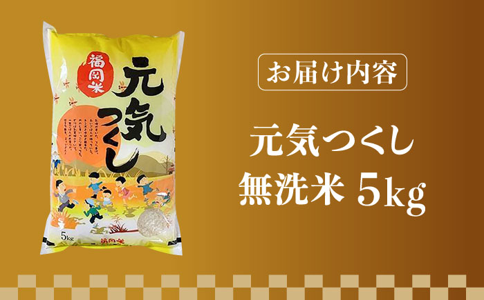 【先行予約】【令和7年産】福岡県産ブランド米「元気つくし」無洗米 5kg【2025年11月以降順次発送】《築上町》【株式会社ゼロプラス】 [ABDD002] お米 白ご飯 元気つくし ブランド米 おにぎり