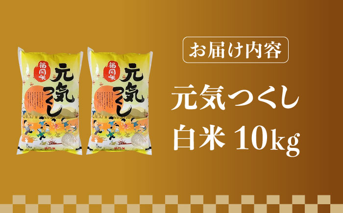 【先行予約】【令和7年産】福岡県産ブランド米「元気つくし」白米 10kg (5kg×2袋)【2025年11月以降順次発送】《築上町》【株式会社ゼロプラス】 [ABDD003] お米 白ご飯 元気つくし ブランド米 おにぎり