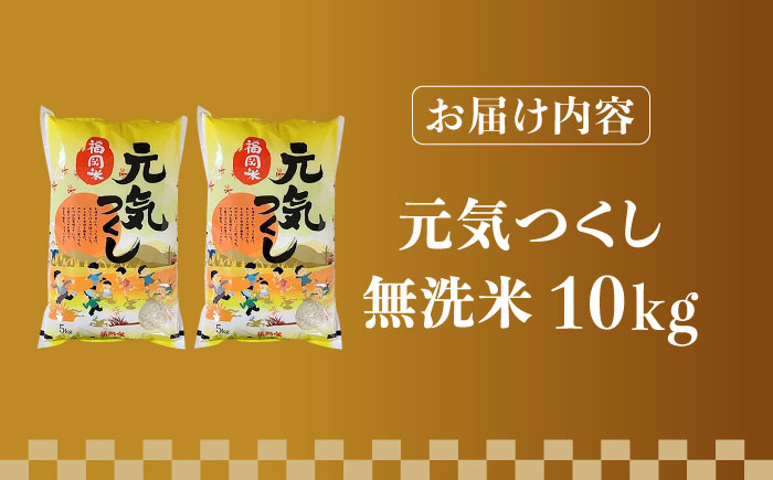 【先行予約】【令和7年産】福岡県産ブランド米「元気つくし」無洗米 10kg (5kg×2袋)【2025年11月以降順次発送】《築上町》【株式会社ゼロプラス】 [ABDD004] お米 白ご飯 元気つくし ブランド米 おにぎり