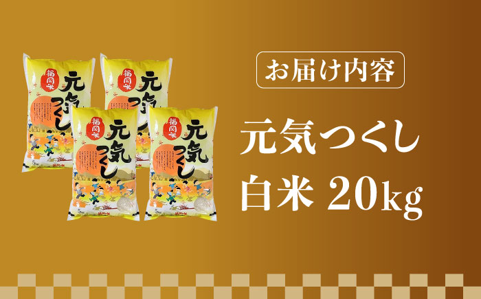【先行予約】【令和7年産】福岡県産ブランド米「元気つくし」白米 20kg (5kg×4袋)【2025年11月以降順次発送】《築上町》【株式会社ゼロプラス】 [ABDD005] お米 白ご飯 元気つくし ブランド米 おにぎり