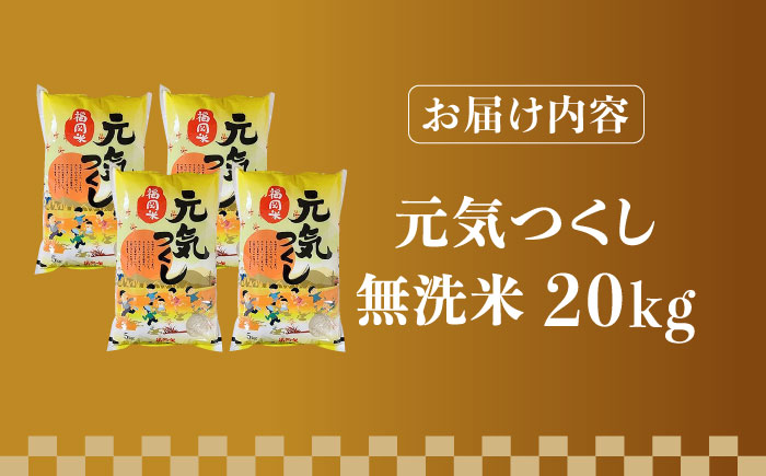 【先行予約】【令和7年産】福岡県産ブランド米「元気つくし」無洗米 20kg (5kg×4袋)【2025年11月以降順次発送】《築上町》【株式会社ゼロプラス】 [ABDD006] お米 白ご飯 元気つくし ブランド米 おにぎり