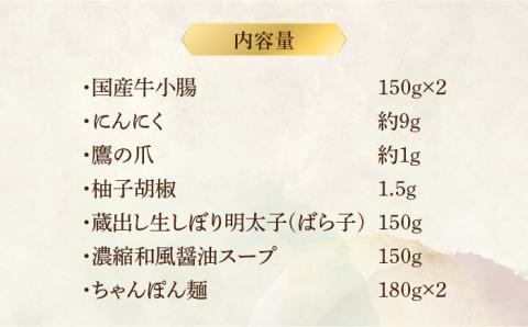 博多明太もつ鍋セット（2～3人前）《築上町》【株式会社ベネフィス】 [ABDF003]