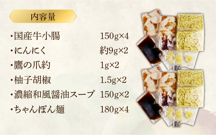 博多もつ鍋セット（和風醤油仕立て）国産牛もつ 600g 4～6人前《築上町》【株式会社ベネフィス】 [ABDF005]