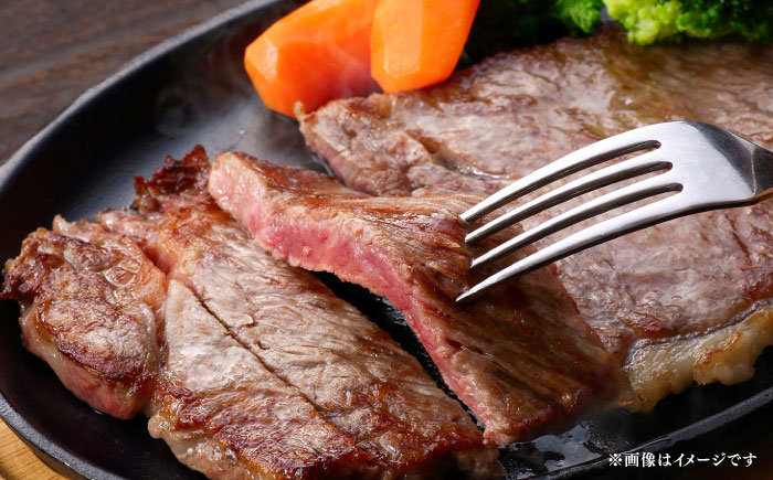 博多和牛 A5ランク サーロインステーキ 雌 350g×1枚≪築上町≫【KRAZY MEAT】ステーキ サーロイン BBQ 和牛 肉 [ABEN009]