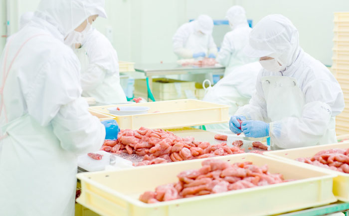 【食品添加物不使用】辛子明太子 並切 500g 築上町 / 株式会社 海千 [ABEQ025]