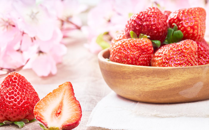 【全2回定期便】福岡産【春】 あまおう 4パック 《築上町》【南国フルーツ株式会社】果物 苺 いちご [ABET026]