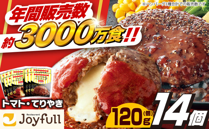 ジョイフル ハンバーグ スペシャル 詰め合わせ 2種 14個 セット《築上町》【株式会社　ジョイフル】 [ABAA070]