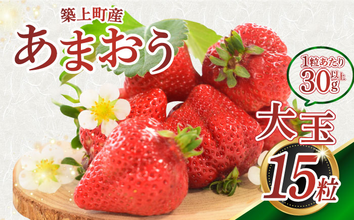 【1月中旬以降順次発送】築上町産 あまおう  1箱 15粒《築上町》【エースいちご株式会社】 大粒 あまおう 苺 いちご 年内発送 ギフト 贈答 [ABAG004]