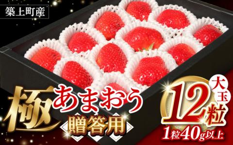【1月中旬以降順次発送】築上町産 あまおう  12粒《築上町》【エースいちご株式会社】 大粒 あまおう 苺 いちご [ABAG006]