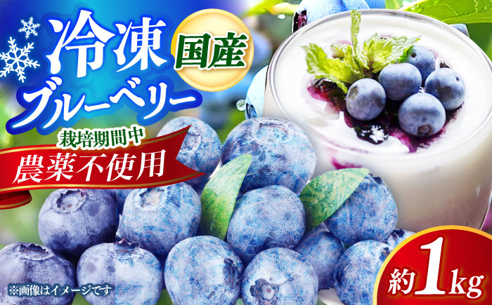 ブルーベリー 1kg 冷凍《築上町》【(有)工房よしかわ】国産 ブルーベリー [ABAK001]
