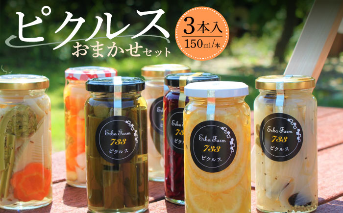 【農家のこだわり野菜使用】おまかせ ピクルス 3本《築上町》【ERBA FARM733】 [ABAP001]