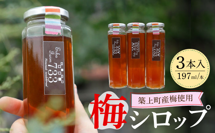 【築上町産梅使用】昔ながらの 梅シロップ 3本《築上町》【ERBA FARM733】 [ABAP004]