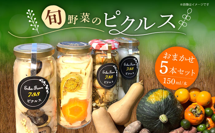お任せピクルス５本セット化粧箱入り《築上町》【ERBA FARM733】 [ABAP006] 19000円 [ABAP006]