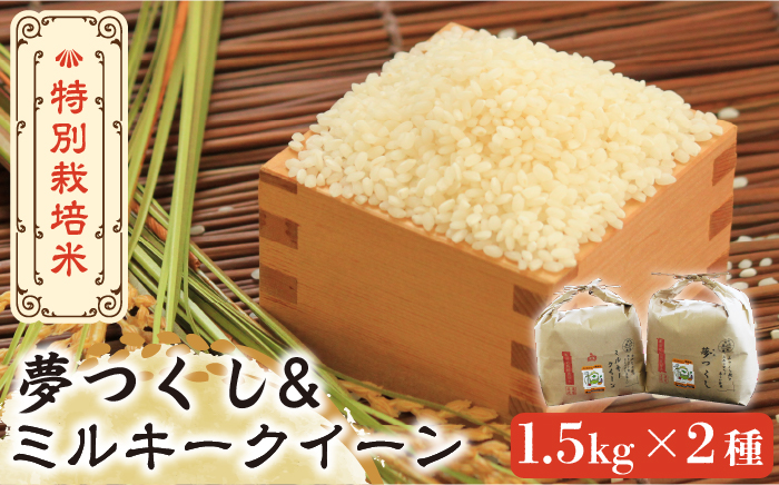 【先行予約・令和7年産新米】特別栽培米 ミルキークイーン & 夢つくし 1.5kg 食べ比べ セット 《築上町》【Nouhan農繁】 米 白米 お米 [ABAU008] 精米 米 ご飯 ごはん こめ コメ