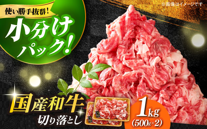 【たっぷり大容量！】博多和牛 切り落とし 1000g (500ｇ×2P)《築上町》【株式会社MEAT PLUS】 [ABBP010]