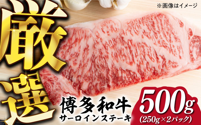【溢れる肉汁と濃厚な旨味】博多和牛 サーロイン ステーキ セット 500g（250g×2枚）《築上町》【株式会社MEAT PLUS】 [ABBP013]