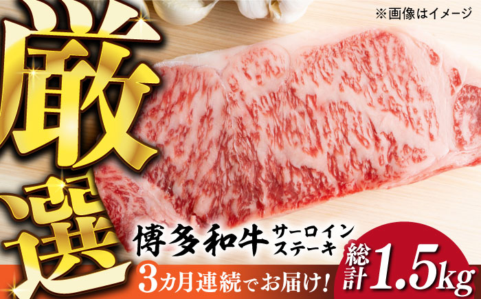 【全3回定期便】【溢れる肉汁と濃厚な旨味】博多和牛サーロインステーキセット 500g(250g×2枚)《築上町》【株式会社MEAT PLUS】 [ABBP030]
