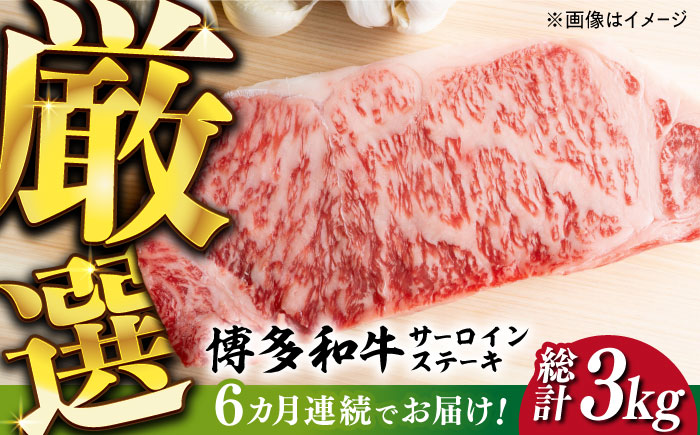 【全6回定期便】【溢れる肉汁と濃厚な旨味】博多和牛サーロインステーキセット 500g(250g×2枚)《築上町》【株式会社MEAT PLUS】 [ABBP031]