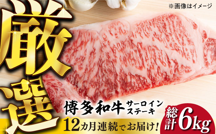 【全12回定期便】【溢れる肉汁と濃厚な旨味】博多和牛サーロインステーキセット 500g(250g×2枚)《築上町》【株式会社MEAT PLUS】 [ABBP032]