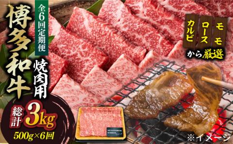 【全6回定期便】【和牛の旨味を堪能！】博多和牛焼肉用 500g《築上町》【株式会社MEAT PLUS】 [ABBP034]