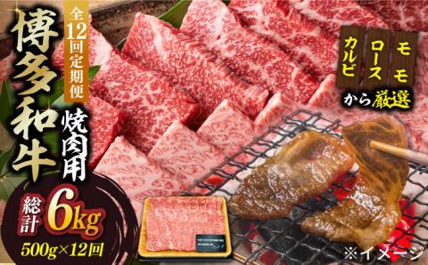 【全12回定期便】【和牛の旨味を堪能！】博多和牛焼肉用 500g《築上町》【株式会社MEAT PLUS】 [ABBP035]