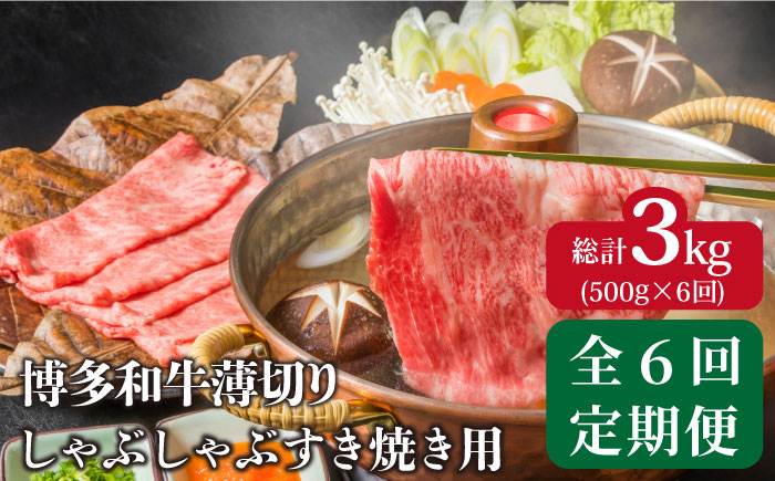【全6回定期便】【厳選部位使用！】博多和牛しゃぶしゃぶ・すき焼き用500g《築上町》【株式会社MEAT PLUS】 [ABBP040]