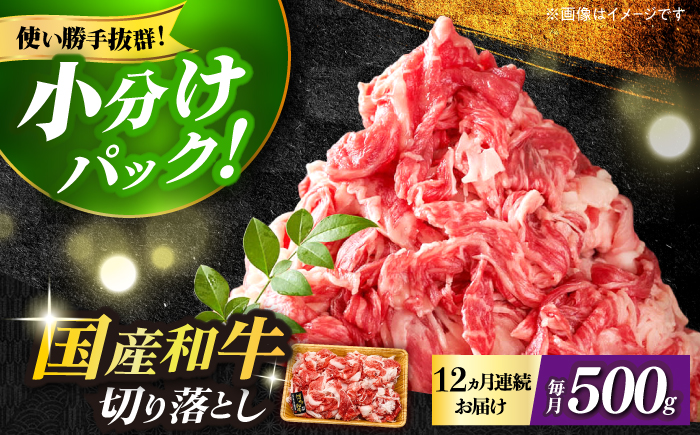 【全12回定期便】【和牛の旨味を堪能！】博多和牛切り落とし500g《築上町》【株式会社MEAT PLUS】 [ABBP044]