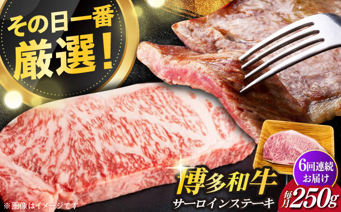 【全6回定期便】【厳選部位使用！】博多和牛サーロインステーキ250g×1枚《築上町》【株式会社MEAT PLUS】 [ABBP046]