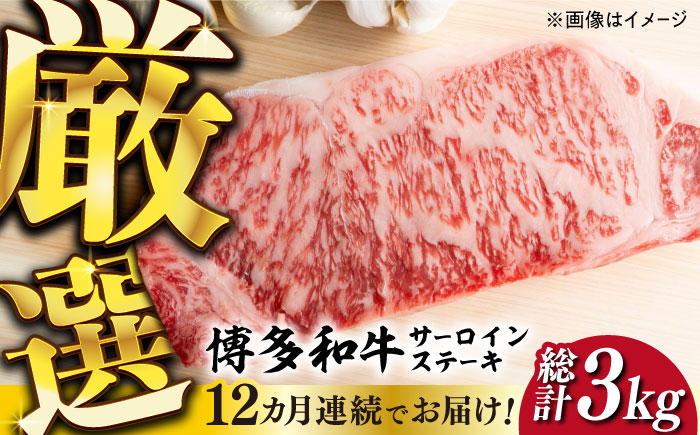 【全12回定期便】【厳選部位使用！】博多和牛サーロインステーキ250g×1枚《築上町》【株式会社MEAT PLUS】 [ABBP047]